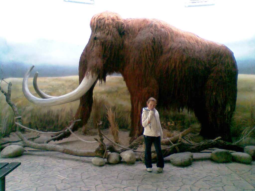 Clonă de mamut ?