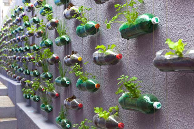 plastic-bottle-garden