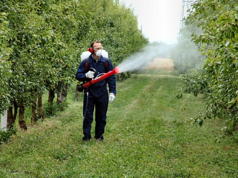 Cauți pesticide împotriva dăunătorilor?